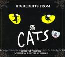 《音乐剧猫》下载 1080p高清 目前最高清的版本 带中英双语字幕
