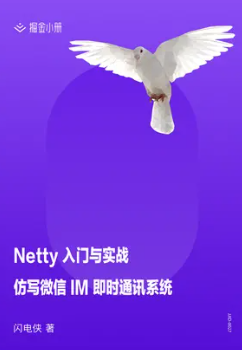 《Netty 入门与实战：仿写微信 IM 即时通讯系统-掘金小册》PDF 下载